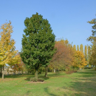 autunno