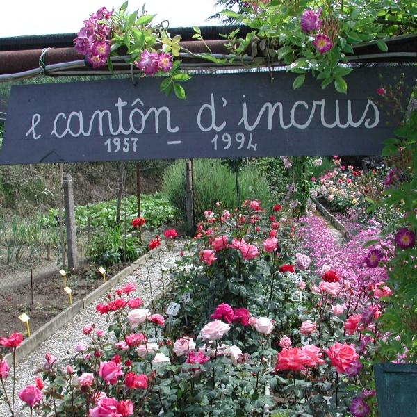 e canton d'incrus