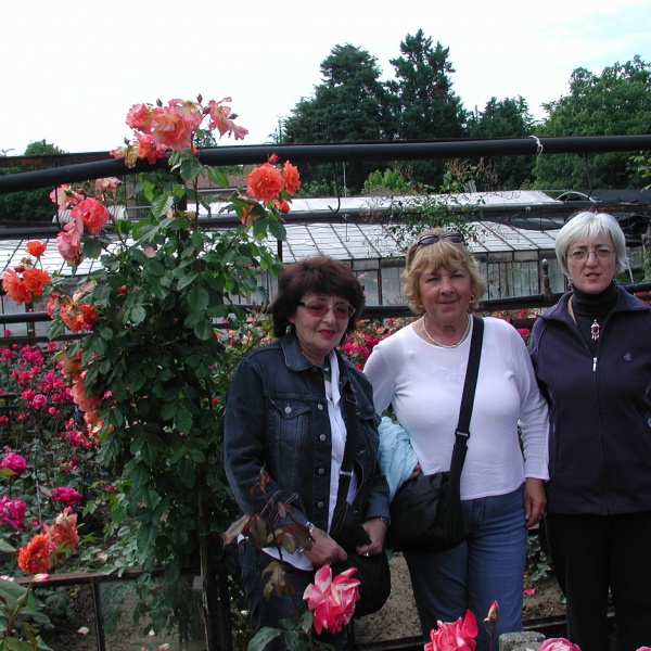 qui c'è il garden club