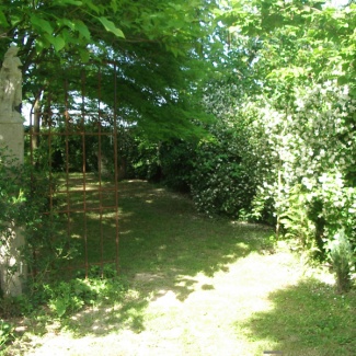 nel bosco