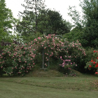 nel parco